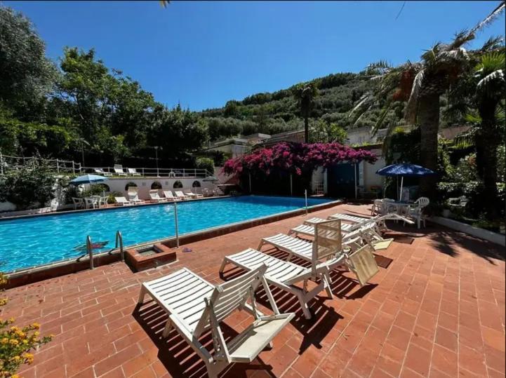 Un Paradiso A Sorrento Con Piscina Massa Lubrense Exterior photo