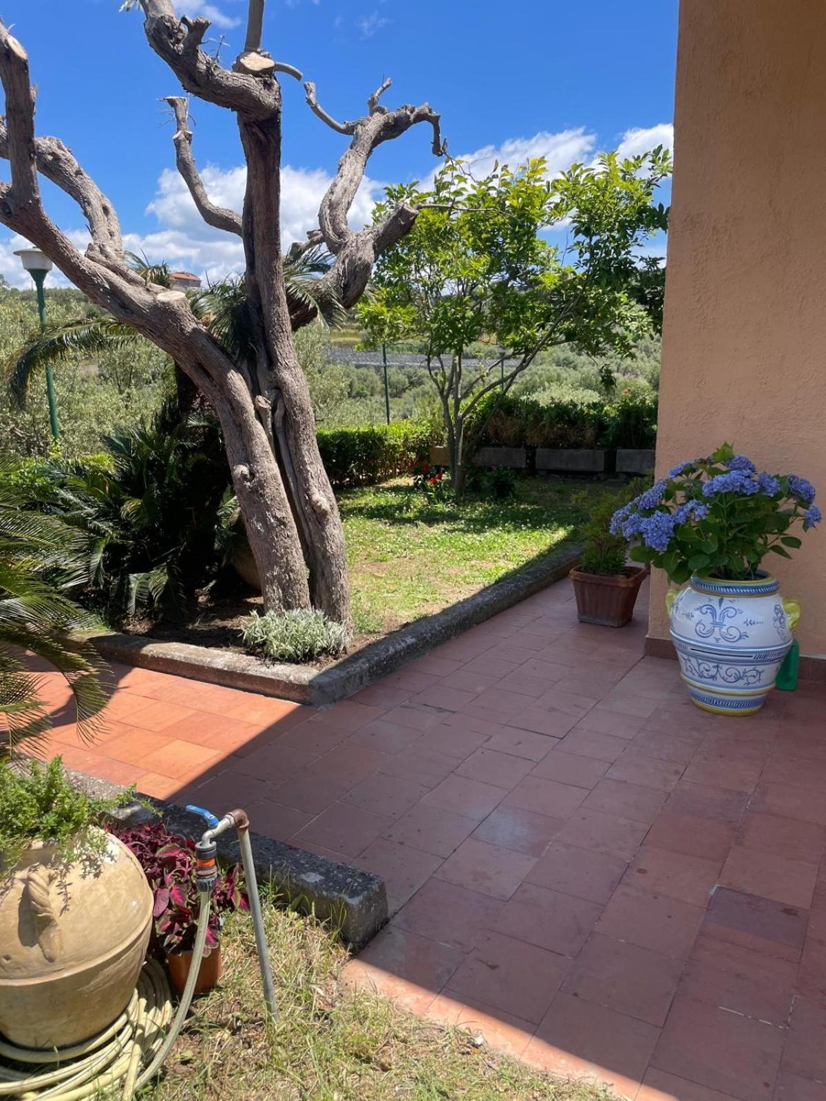 Un Paradiso A Sorrento Con Piscina Massa Lubrense Exterior photo