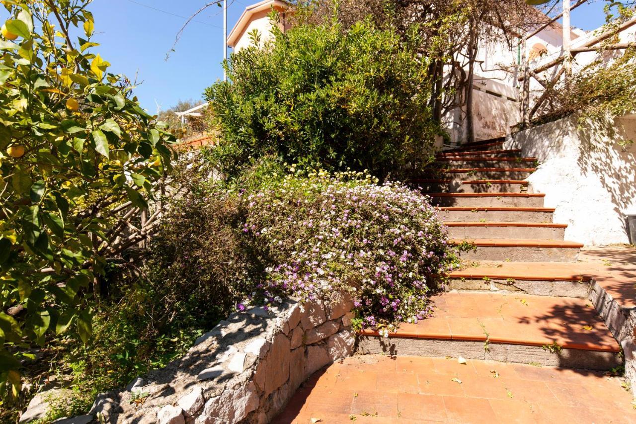 Un Paradiso A Sorrento Con Piscina Massa Lubrense Exterior photo