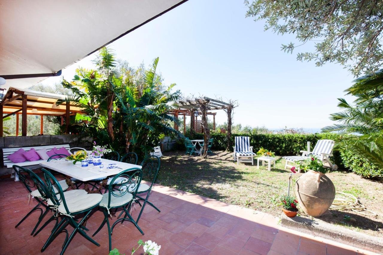 Un Paradiso A Sorrento Con Piscina Massa Lubrense Exterior photo